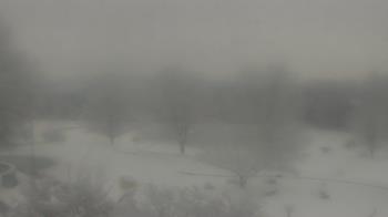 Weather camera view of Big Island Elementary School.