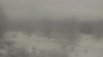 Weather camera view of Big Island Elementary School.