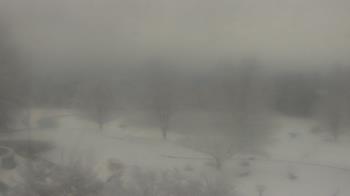 Weather camera view of Big Island Elementary School.