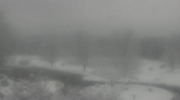 Weather camera view of Big Island Elementary School.