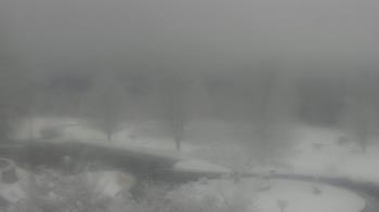 Weather camera view of Big Island Elementary School.