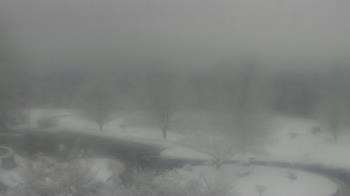 Weather camera view of Big Island Elementary School.