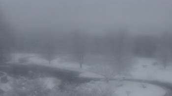 Weather camera view of Big Island Elementary School.