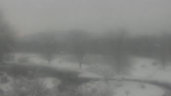 Weather camera view of Big Island Elementary School.