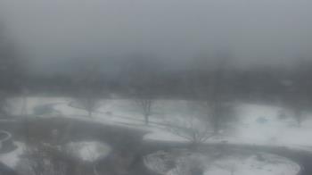 Weather camera view of Big Island Elementary School.