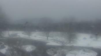 Weather camera view of Big Island Elementary School.