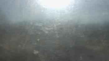 Weather camera view of Big Island Elementary School.