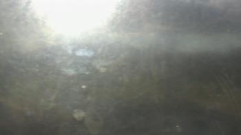 Weather camera view of Big Island Elementary School.