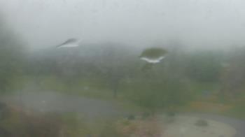 Weather camera view of Big Island Elementary School.