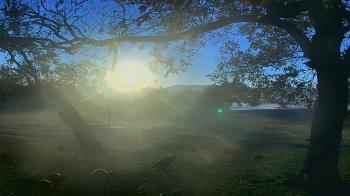 Weather camera view of Camp Verde Ranch.