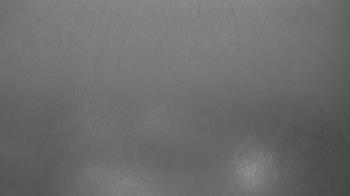 Weather camera view of F L Templeton Preparatory Academy.