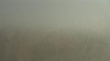 Weather camera view of F L Templeton Preparatory Academy.