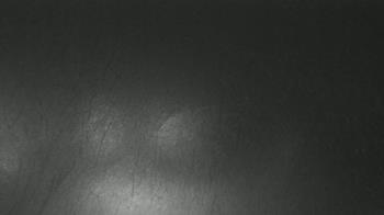 Weather camera view of F L Templeton Preparatory Academy.