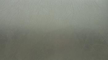 Weather camera view of F L Templeton Preparatory Academy.