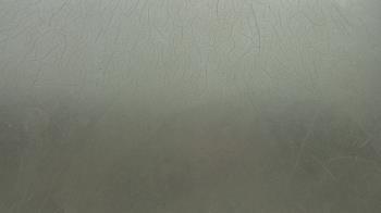 Weather camera view of F L Templeton Preparatory Academy.