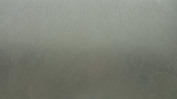 Weather camera view of F L Templeton Preparatory Academy.