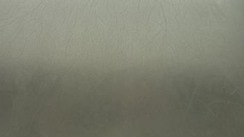 Weather camera view of F L Templeton Preparatory Academy.