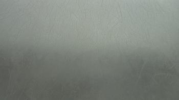 Weather camera view of F L Templeton Preparatory Academy.