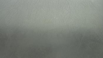 Weather camera view of F L Templeton Preparatory Academy.