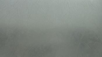 Weather camera view of F L Templeton Preparatory Academy.