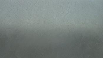 Weather camera view of F L Templeton Preparatory Academy.