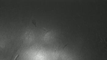 Weather camera view of F L Templeton Preparatory Academy.