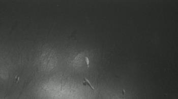 Weather camera view of F L Templeton Preparatory Academy.