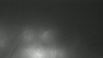 Weather camera view of F L Templeton Preparatory Academy.