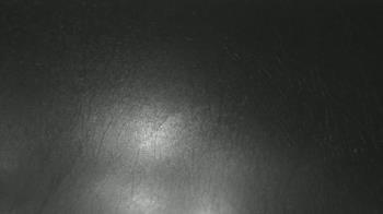 Weather camera view of F L Templeton Preparatory Academy.