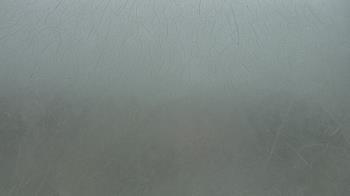 Weather camera view of F L Templeton Preparatory Academy.