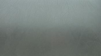 Weather camera view of F L Templeton Preparatory Academy.