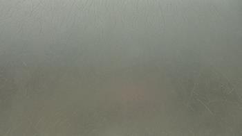 Weather camera view of F L Templeton Preparatory Academy.