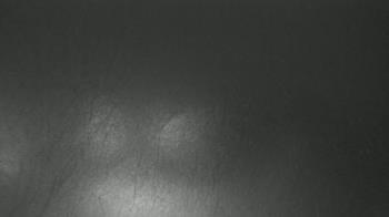 Weather camera view of F L Templeton Preparatory Academy.