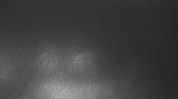 Weather camera view of F L Templeton Preparatory Academy.