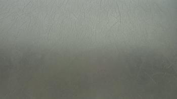 Weather camera view of F L Templeton Preparatory Academy.