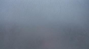 Weather camera view of F L Templeton Preparatory Academy.