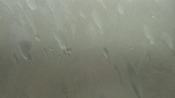 Weather camera view of F L Templeton Preparatory Academy.