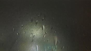 Weather camera view of F L Templeton Preparatory Academy.