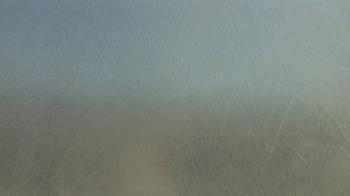 Weather camera view of F L Templeton Preparatory Academy.