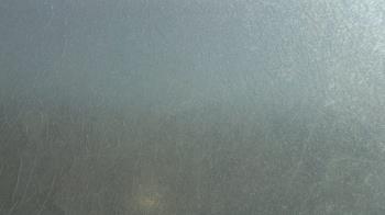 Weather camera view of F L Templeton Preparatory Academy.