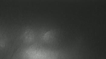 Weather camera view of F L Templeton Preparatory Academy.