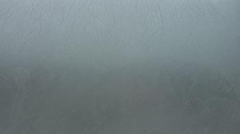 Weather camera view of F L Templeton Preparatory Academy.