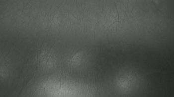 Weather camera view of F L Templeton Preparatory Academy.