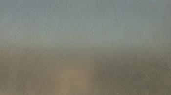 Weather camera view of F L Templeton Preparatory Academy.