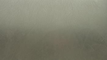 Weather camera view of F L Templeton Preparatory Academy.