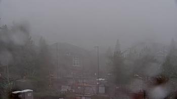 Weather camera view of Open Window School 1200 ft elev Cougar Mtn.