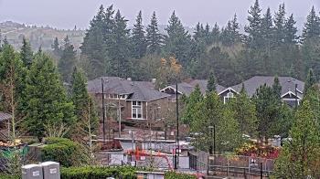 Weather camera view of Open Window School 1200 ft elev Cougar Mtn.