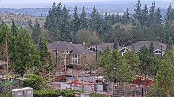 Weather camera view of Open Window School 1200 ft elev Cougar Mtn.