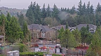 Weather camera view of Open Window School 1200 ft elev Cougar Mtn.