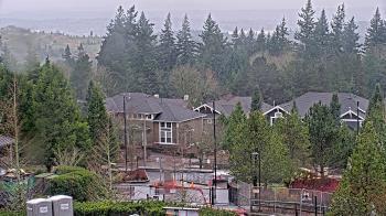 Weather camera view of Open Window School 1200 ft elev Cougar Mtn.